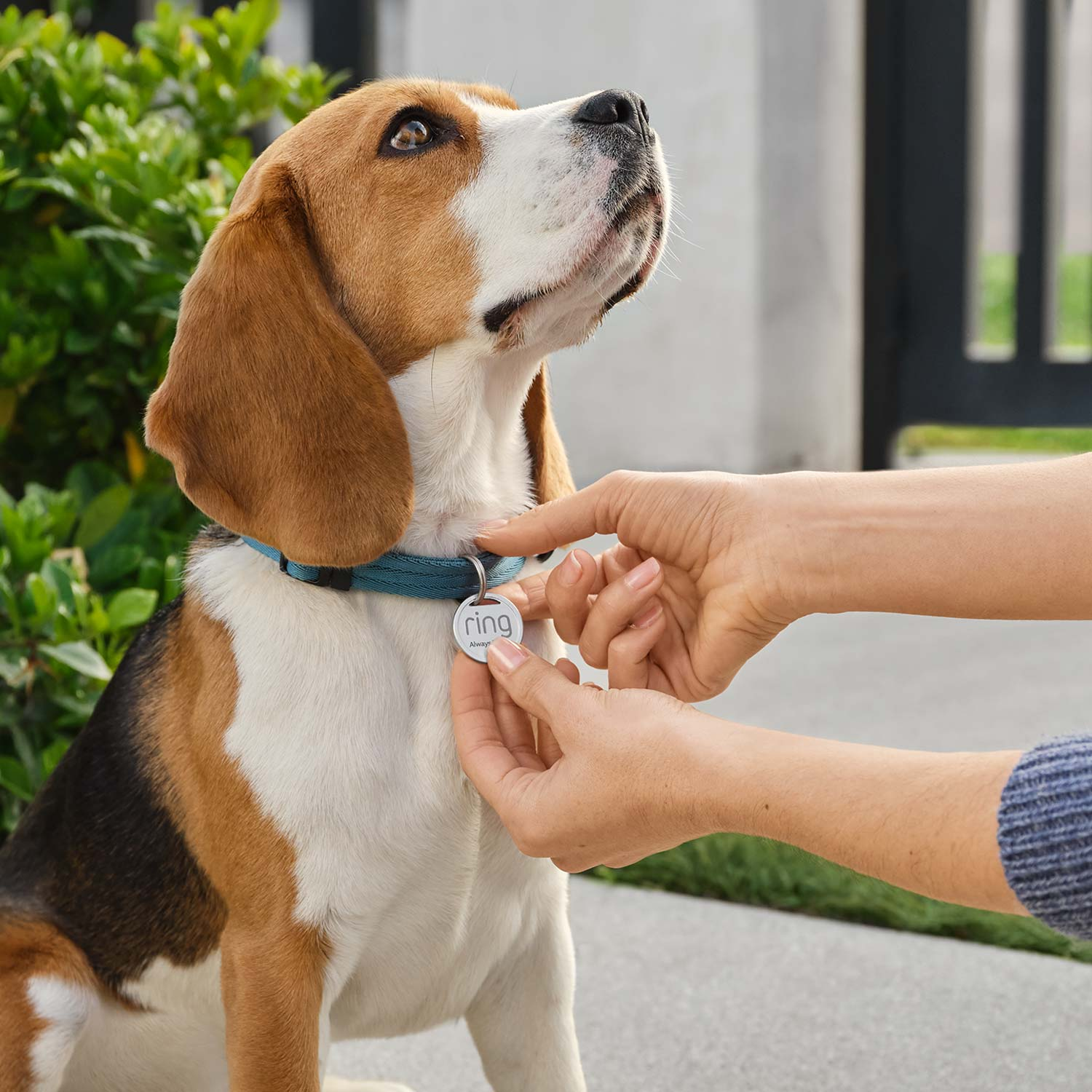pet basic kit innenkamera 2. generation haustiermarke