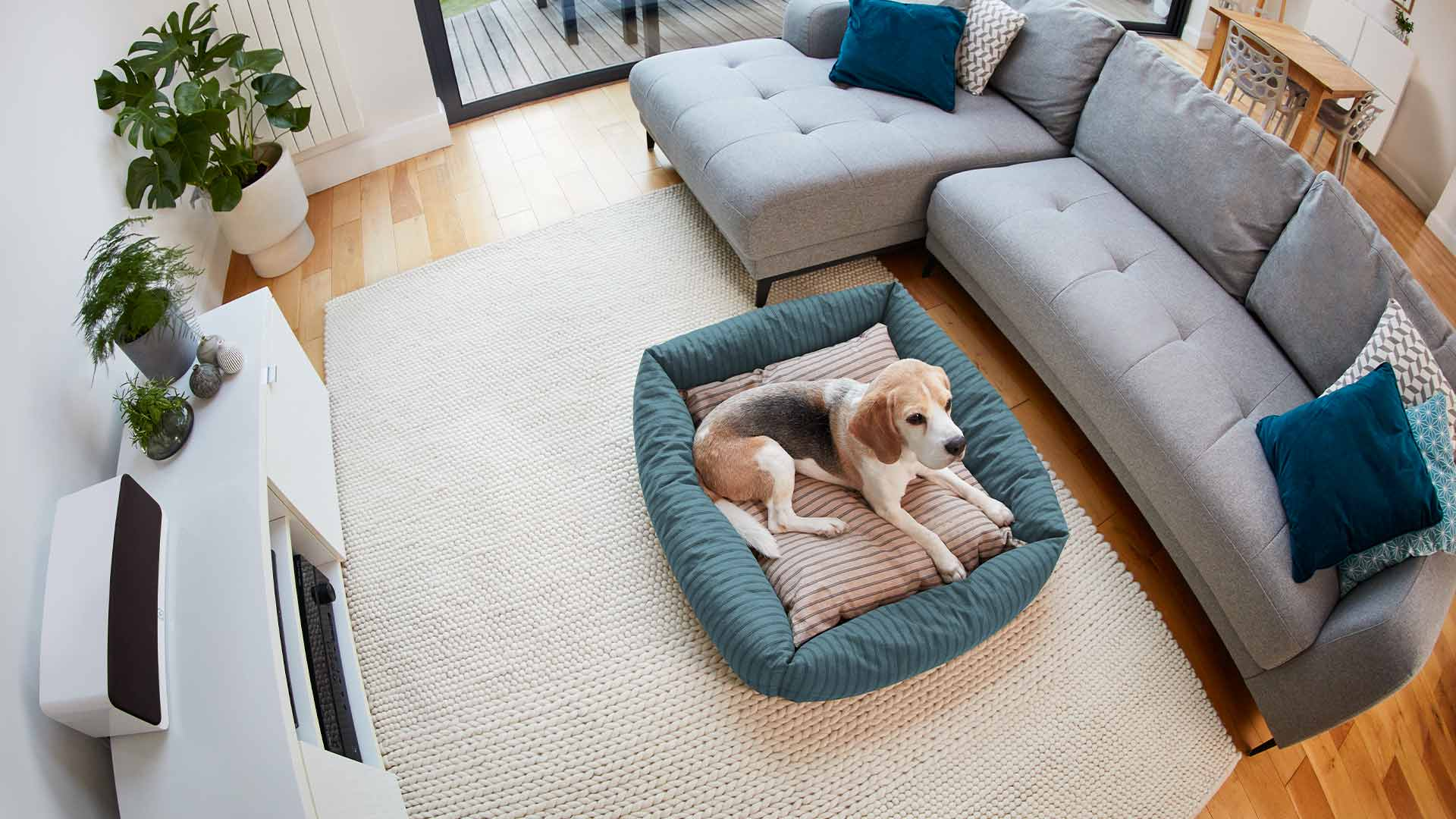 pet basic kit innenkamera 2. generation haustiermarke